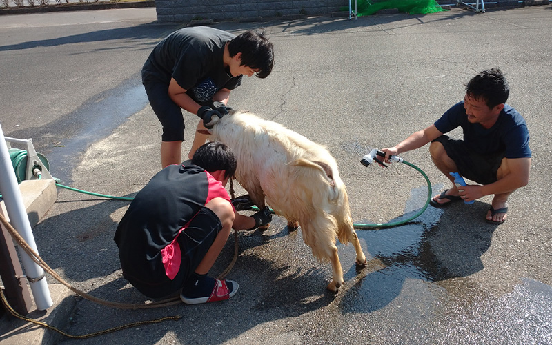 一日の流れ